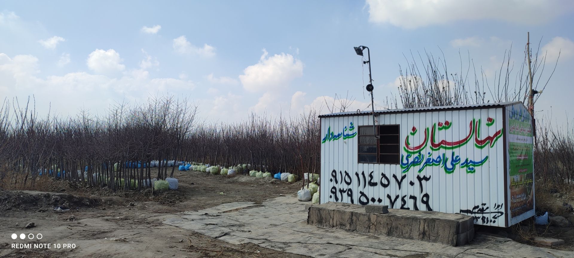 نهالستان نصری